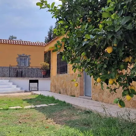Relaxing In Natural Setting Apartamento Valencia